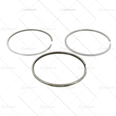 SEGMENTI MOTOR INEL TRAPEZ CASE IH [2]