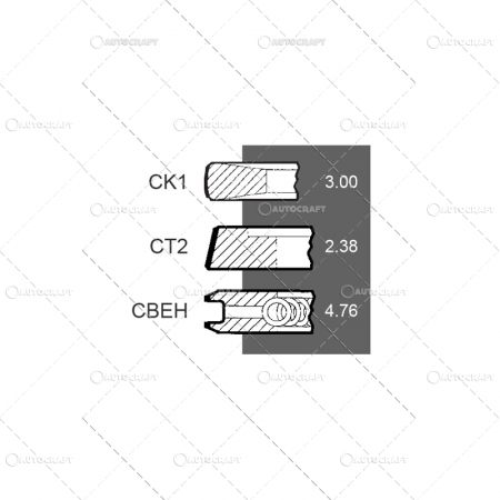 Set segmenti motor - SEGMENTI MOTOR CASE IH INEL DREPTUNGHIULAR
