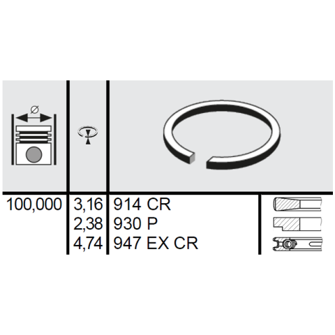 Motoare si componente - SEGMENTI MOTOR CASE IH Ø 100 MM
