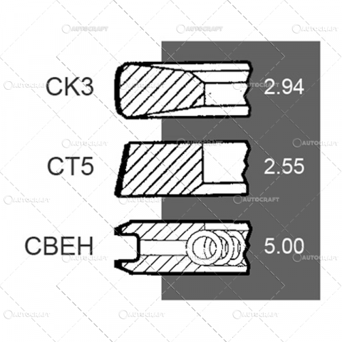 SEGMENTI MOTOR FENDT, DEUTZ 100 - 2.94 2.55 5 MM F2L912, F3L912, F3L912H, F4L912, F4L912H, F5L912, F6L912 [1]