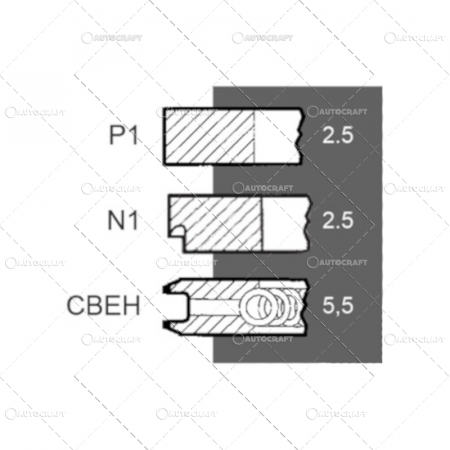 SEGMENTI MOTOR FIAT [1]