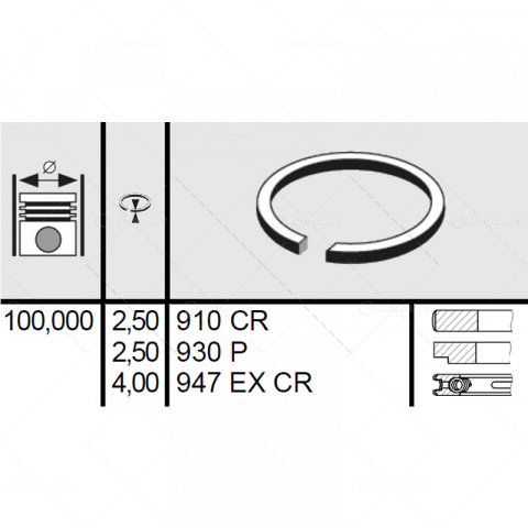 SEGMENTI MOTOR FIAT Ø 100 MM [1]