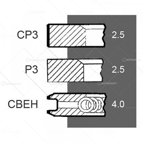 SEGMENTI MOTOR FIAT Ø 115 MM 1580, 1580DT [1]
