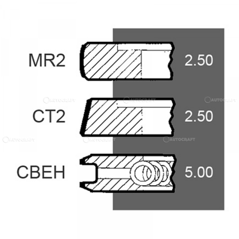 364SP - SEGMENTI MOTOR LANDINI, MASSEY FERGUSON Ø 101.05 MM - STD