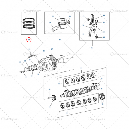 Set segmenti motor - SEGMENTI MOTOR MASSEY FERGUSON