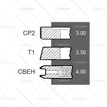 SEGMENTI MOTOR SAME, LAMBORGHINI, DEUTZ, HURLIMANN Ø 105 MM [1]