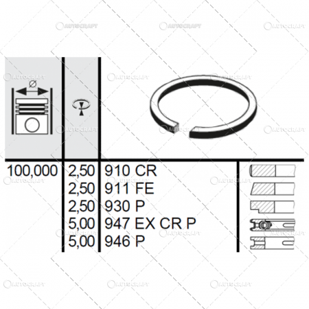 Set segmenti motor - SEGMENTI MOTOR SAME Ø 100.00 mm