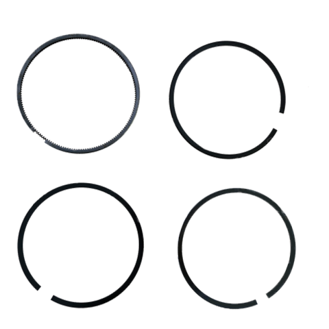 SEGMENTI MOTOR SAME Ø 98 MM [0]