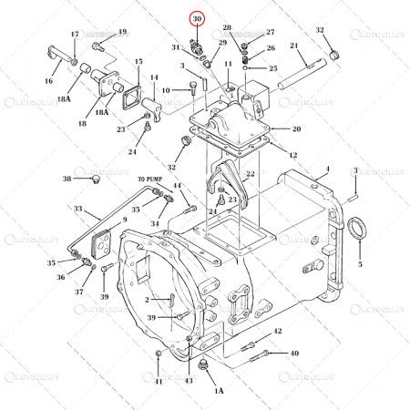 SENZOR CUTIE VITEZE FORD, NEW HOLLAND [2]