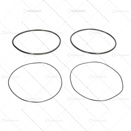 Inele camasa motor - SET INELE CAMASA MOTOR MWM, FENDT, DEUTZ, CASE IH, RENAULT, STEYR