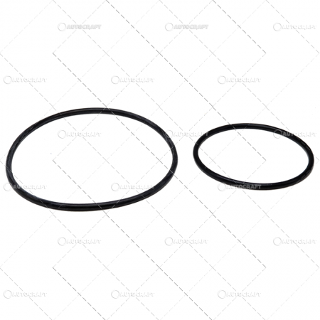 1055 - SET INELE DISC FRANA CASE IH