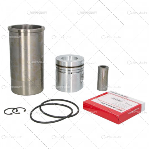 Pistoane, segmenti, camasi - SET MOTOR CASE IH