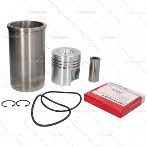 Pistoane, segmenti, camasi - SET MOTOR CASE IH D155, D206, D310