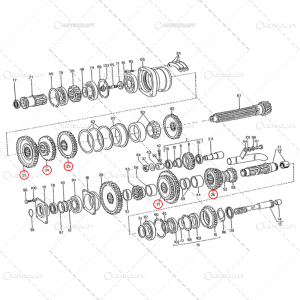 Pinion cutie viteze - SET PINIOANE CUTIE VITEZE UTB TRACTOR U650