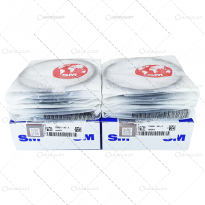 U-650 - SET SEGMENTI PISTON MOTOR FI108 TRACTOR U650 SM GERMANY