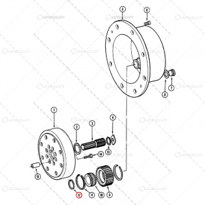 SIGURANTA PINION SATELIT CASE IH [1]