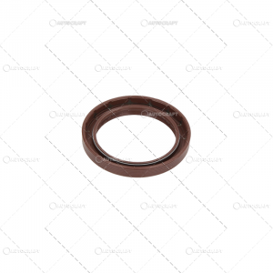 SIMERING FATA ARBORE MOTOR MASSEY FERGUSON [1]