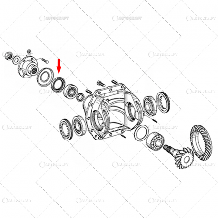 SIMERING GRUP CONIC PUNTE FATA CASE IH [2]