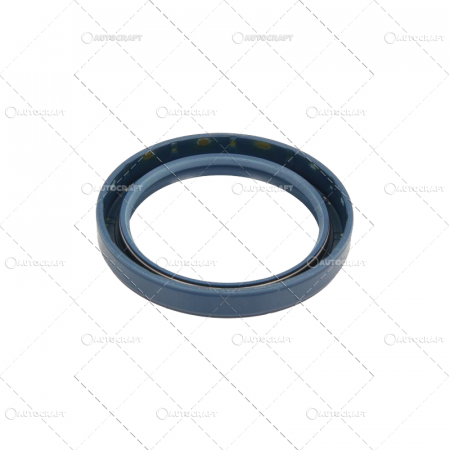 SIMERING PIVOT LANDINI [1]