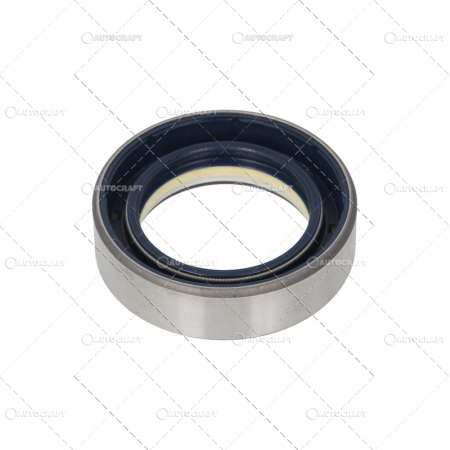 SIMERING PLANETARA FATA FIAT [1]