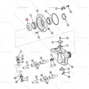 SIMERING ROATA FATA CASE IH [2]