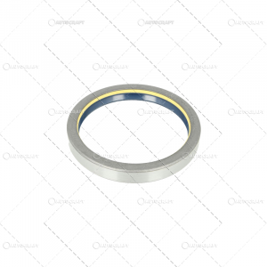 SIMERING ROATA FATA FIAT [1]