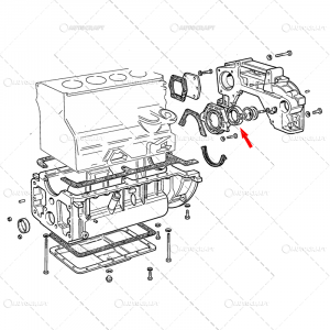 SIMERING SPATE ARBORE MOTOR FIAT [1]