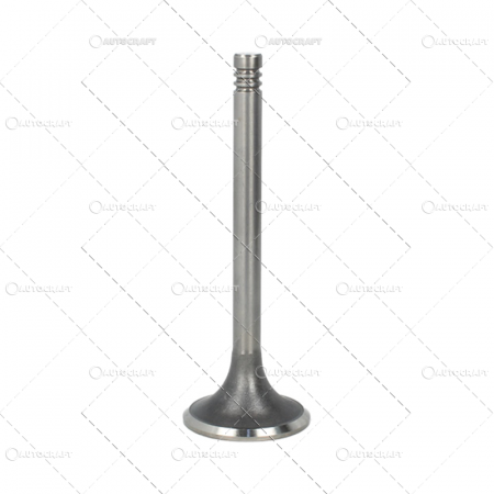 610LS - SUPAPA ADMISIE FENDT, RENAULT, MWM Ø 41.00 x 9.00 mm - L 117.00 mm - 45 °