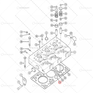 SUPAPA EVACUARE CASE IH [2]