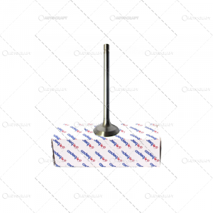 Motoare si componente - SUPAPA EVACUARE JOHN DEERE