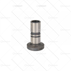 Culbutor, tija, tachet - TACHET MOTOR FENDT Ø 17.5 X 31.05 X 48 MM