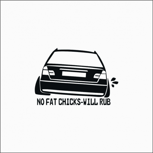 NO FAT CHICKS BMW [1]