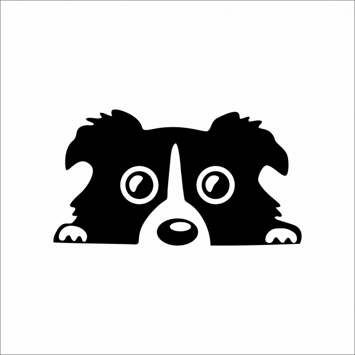 STICKER CATELUS [1]