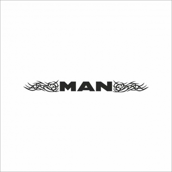 STICKER PARBRIZ MAN NR.8 [1]