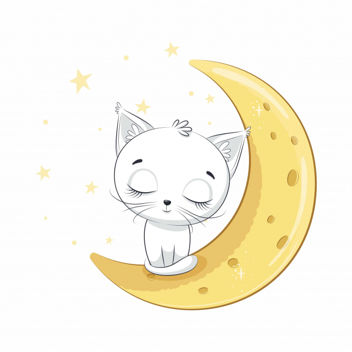 STICKER PERETE BABY CAT ON MOON V3 [1]