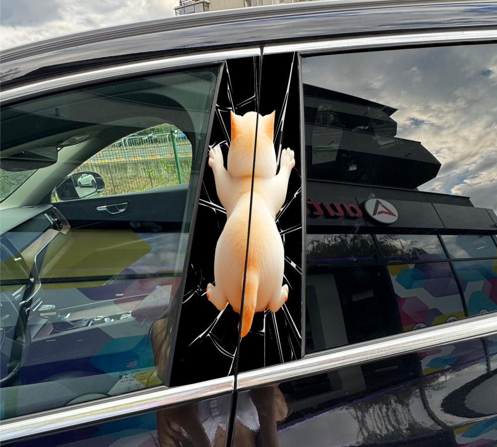 STICKER STALPI AUTO  NR 50 [1]