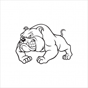 DIVERSE - ANGRY BULLDOG