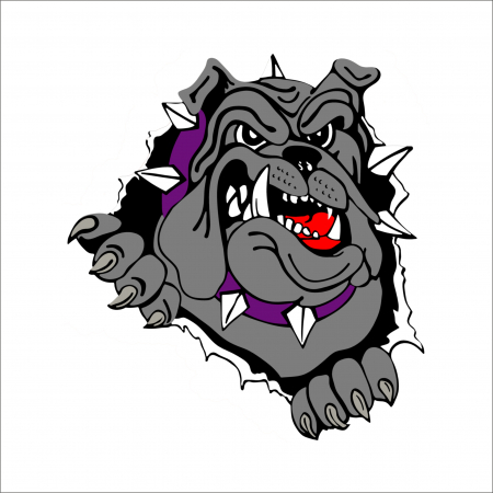 STICKERE PRINTATE - ANGRY DOG PRINT 5