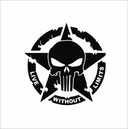 DIVERSE - ARMY CRANIU STICKER 2