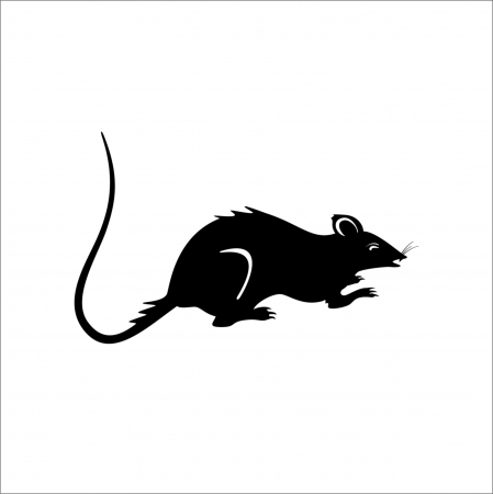 DIVERSE - RAT STICKER