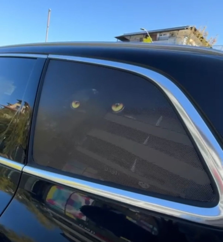 STICKERE GEAM MIC - AUTOCOLANT CU GĂURELE -WINDOWS GRAFIC  BLACK PANTHER