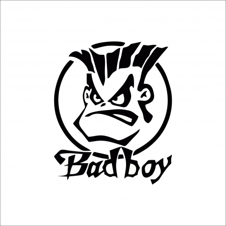DIVERSE - BAD BOY STICKER 2