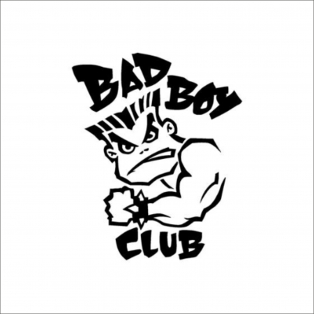 DIVERSE - BAD BOY STICKER 4