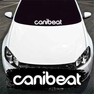 STICKERE PARBRIZ - CANIBEAT