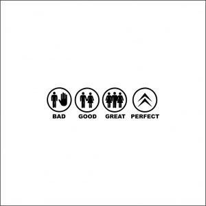 CITROEN - BAD GOOD PERFECT CITROEN
