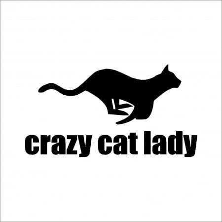 PENTRU FETE - CRAZY CAT LADY 5