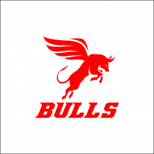 DIVERSE - BULLS