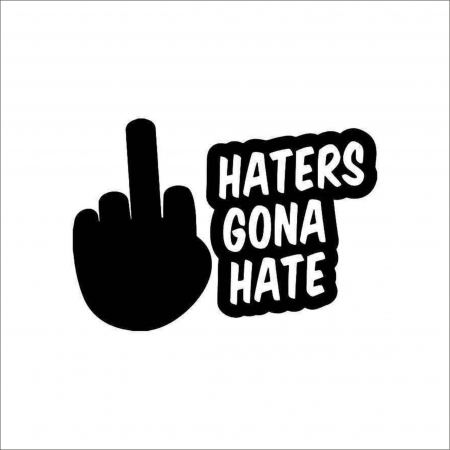 DIVERSE - STICKER HATTERS GONNA HATE 2