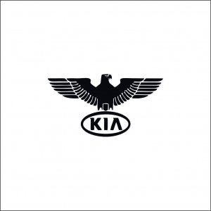 KIA - VULTUR KIA
