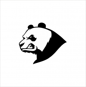 DIVERSE - ANGRY PANDA